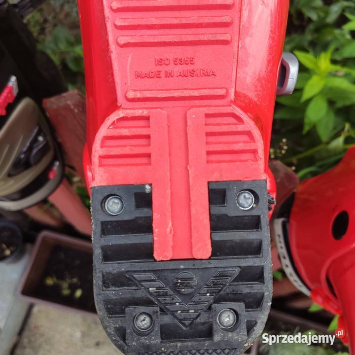 Buty narciarskie Dachstein Pro 99 Nowy Sącz