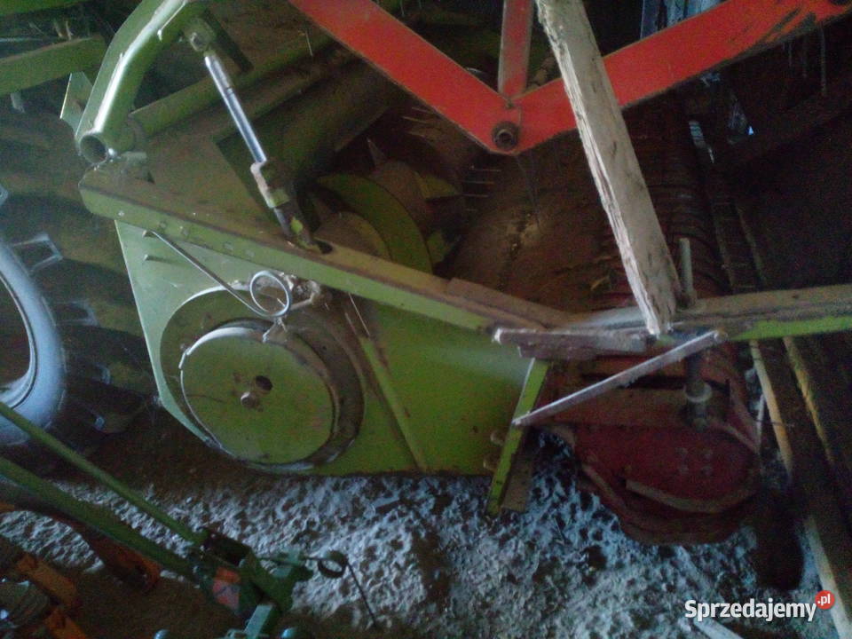 Claas corsar przerobiony do fasoli Tuczapy