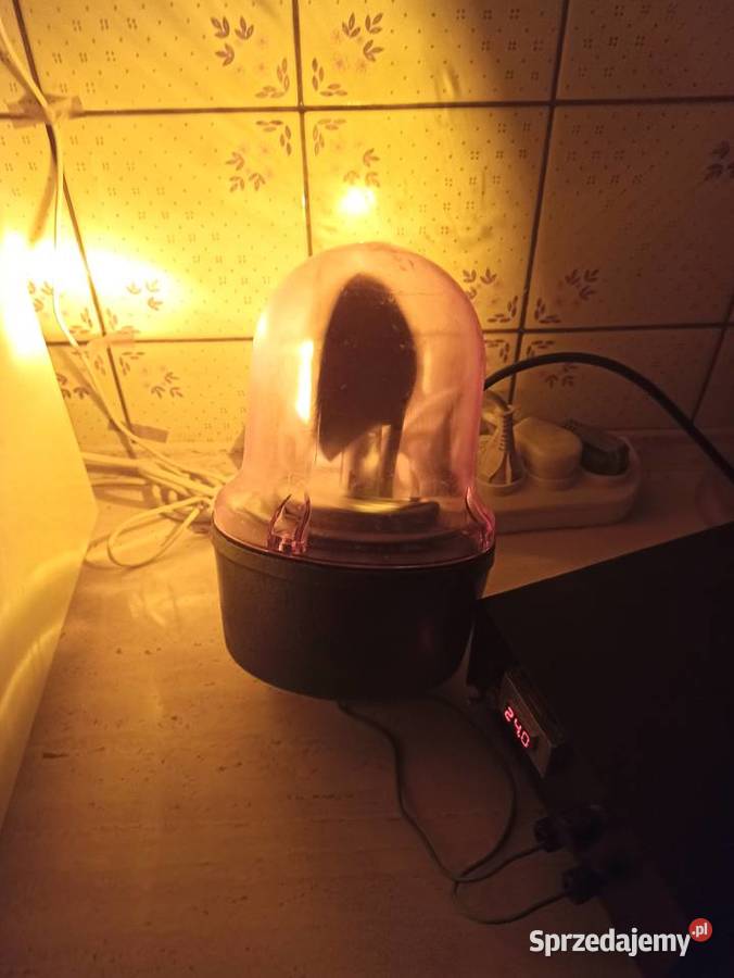 Kogut lampa Elektra LBS5 24V Stan Gorzów Wielkopolski sprzedam