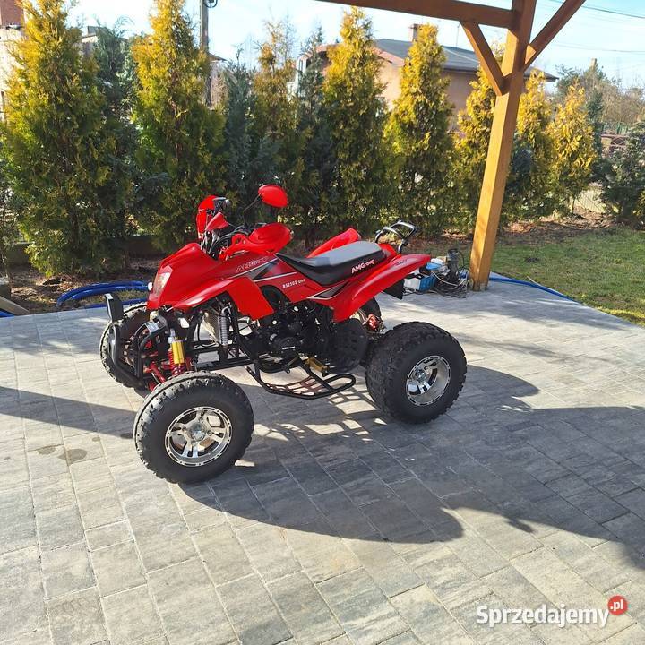Bashan 250 zarejestrowany