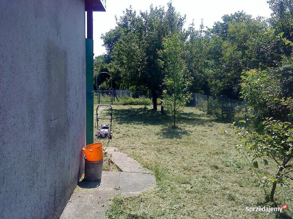 działkę ROD ogródek działkowy Kraków Grunty i działki Kraków