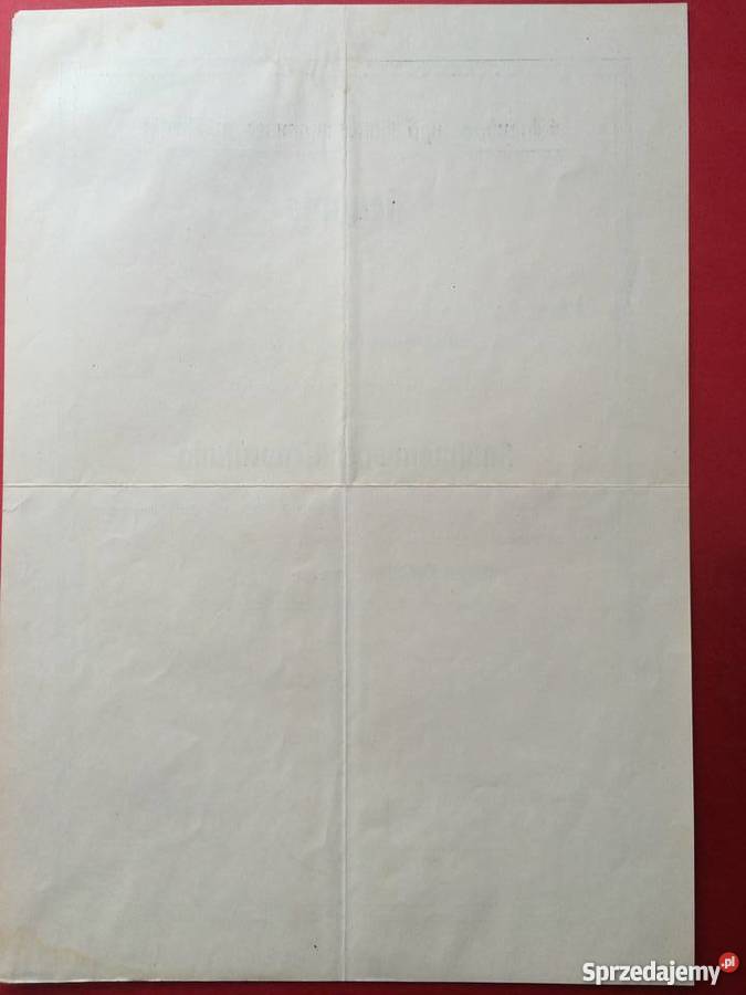 42 Dyplom kupiecki sprzedam