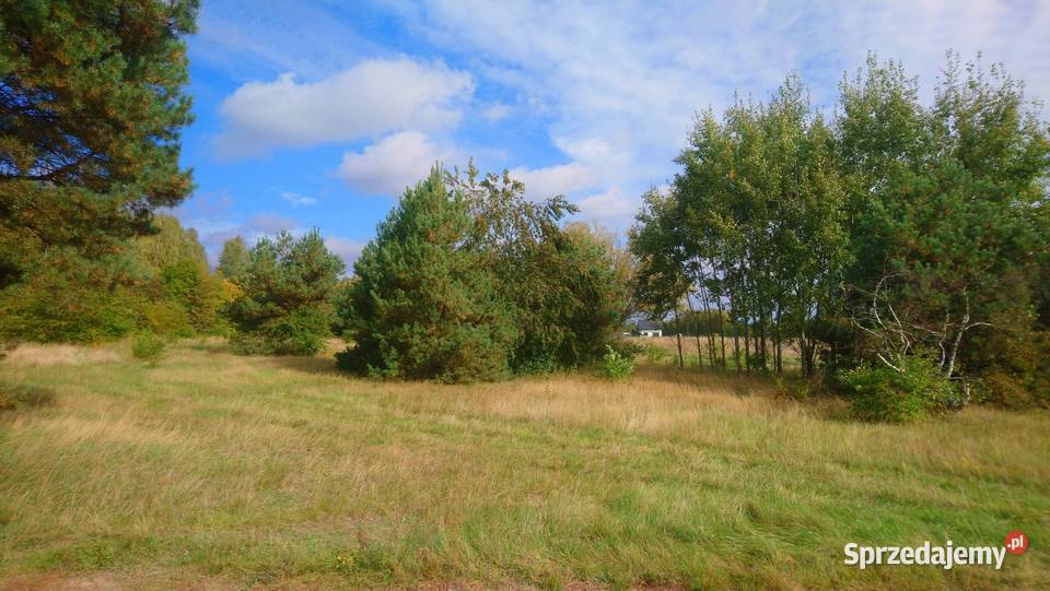 Sprzedam działkę budowlaną o pow 1055m2 z Popielżyn-Zawady