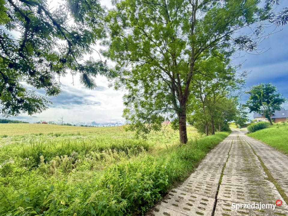 Duża działka 6000 m w Demlinie spokój natura i utwardzona Demlin sprzedam