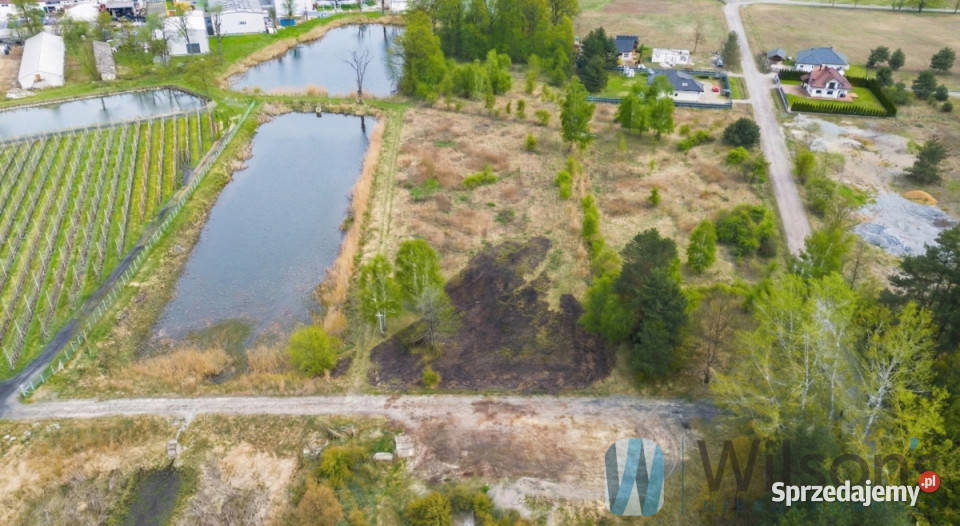 Grunt Potycz 1303m2 inwestycyjna