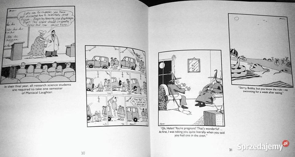 Last chapter and worse A far side collection Pozostałe lubelskie Chełm