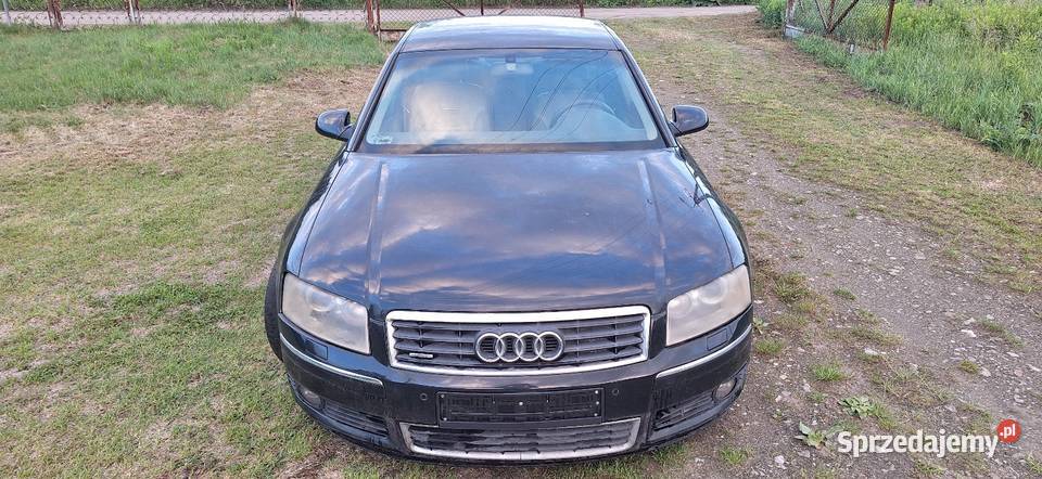 Audi A8 D3 37 LPG automatyczna Motoryzacja kujawsko-pomorskie Toruń