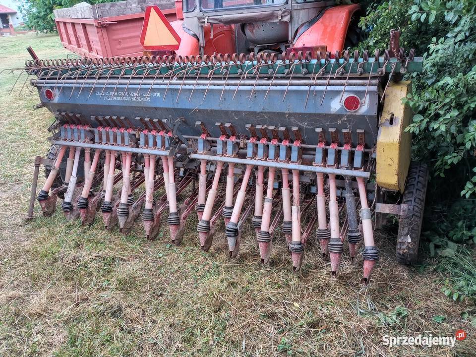 Siewnik poznaniak dolnośląskie Złotoryja
