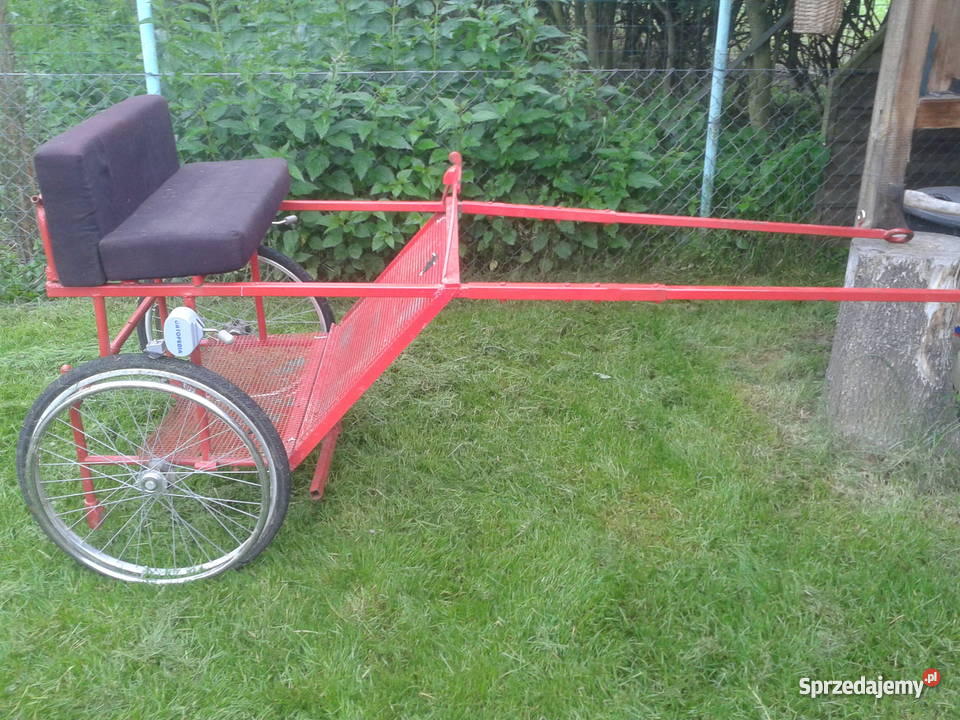 Dokart dwukołówka rydwan kuca