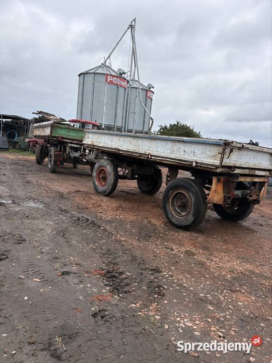 Przyczepa hl 6011 Twardów sprzedam