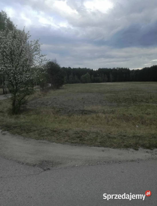 działka 15 arów w malowniczej okolicy 5 ar Wilcza Wola