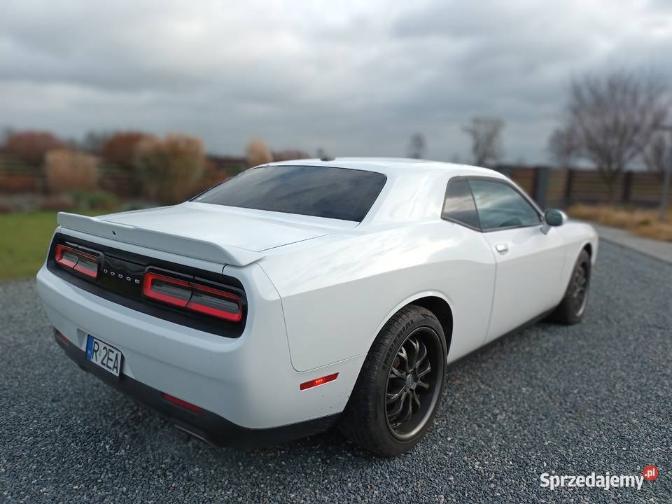 Dodge Challenger SXT 36 2019 automatyczna