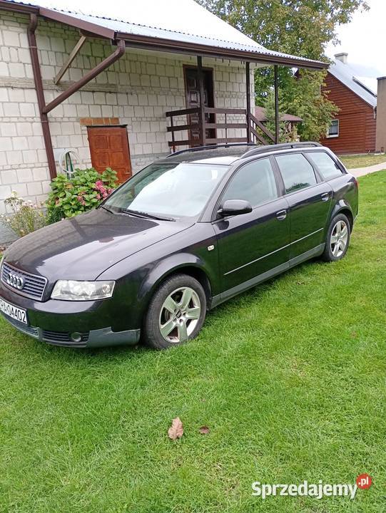 Audi a4 A4 Radzyń Podlaski sprzedam