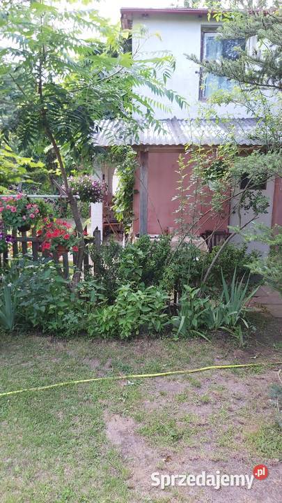 Sprzedam działkę ROD