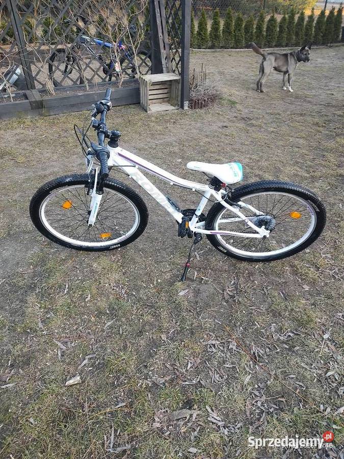 Sprzedam rower romet Choroń