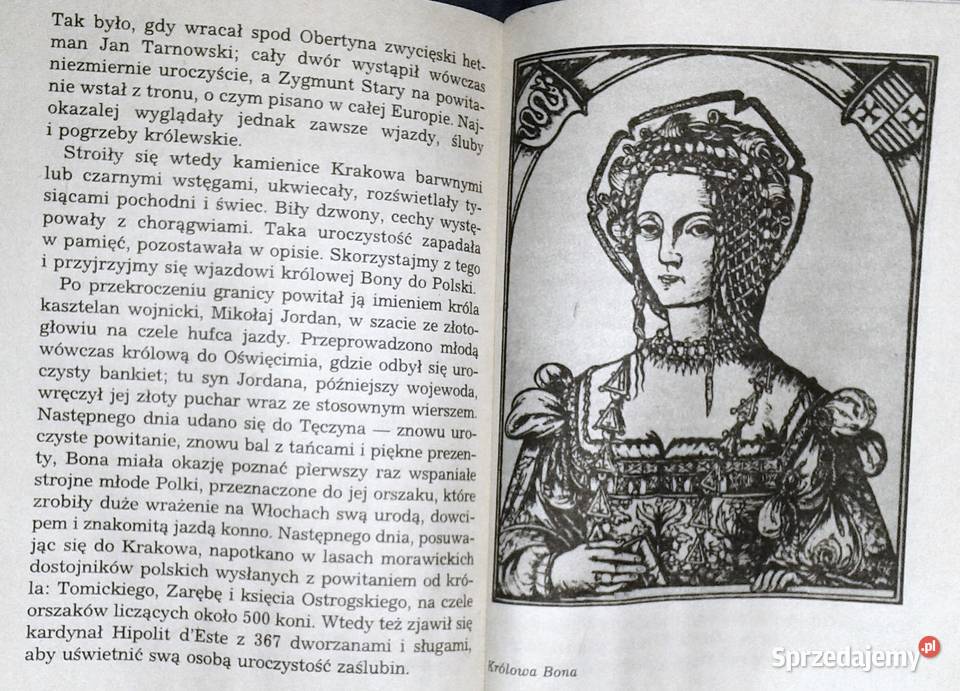 Na zygmuntowskim dworze Marek Hryniewicz Chełm