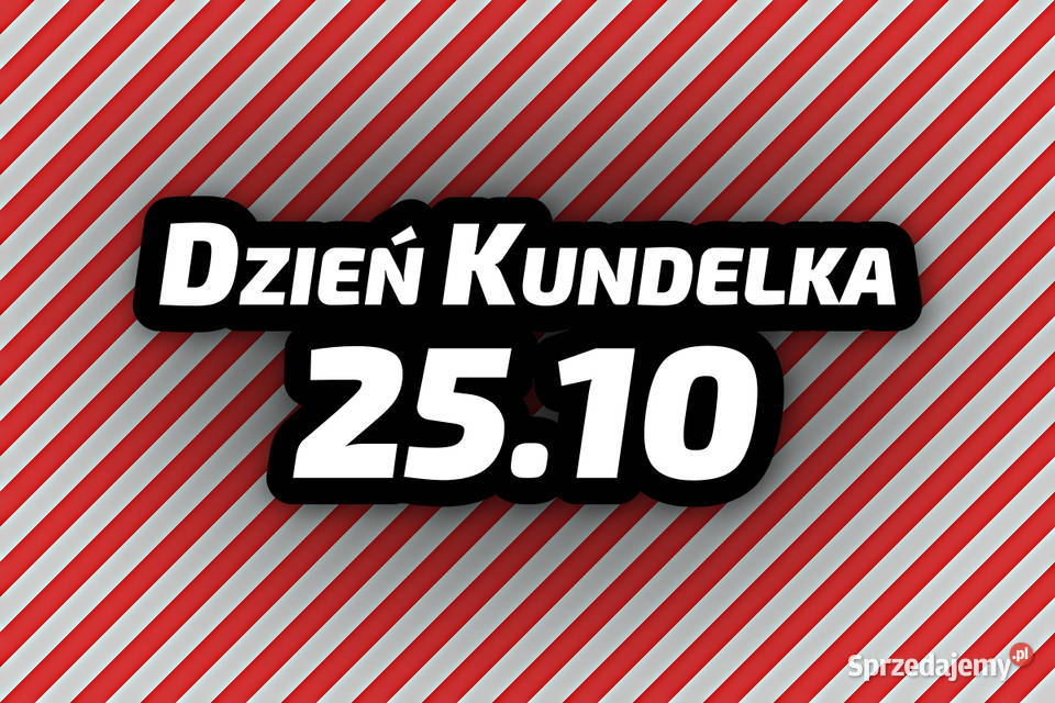 2510 DZIEŃ KUNDELKA naklejki charytatywne