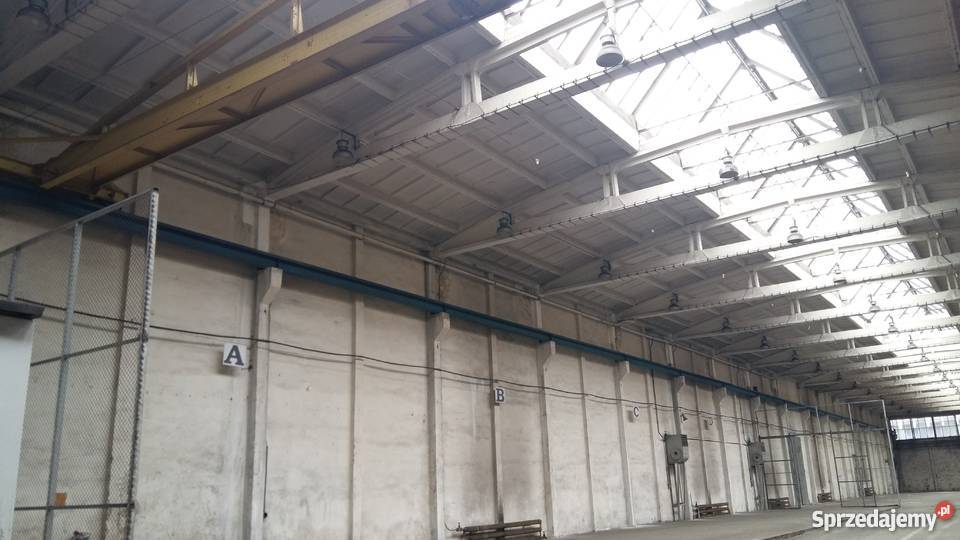 suwnica jednobelkowa elektryczna Poznań