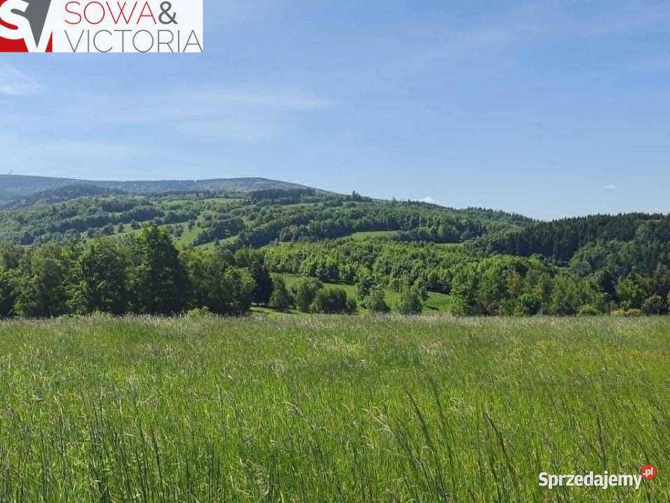 Piekna panorama Michałkowa