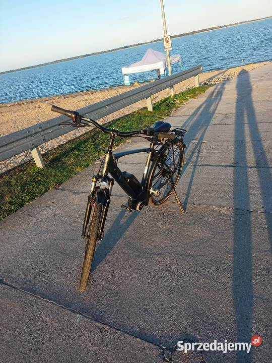 Rower męski elektryczny BBF łódzkie Warta