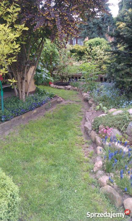 ogródek działkowy siatka Koziegłowy