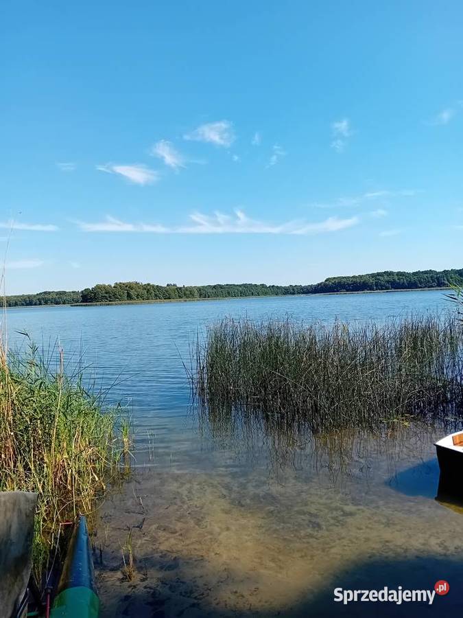 Wydzierżawię działki rekreacyjne Laskowice
