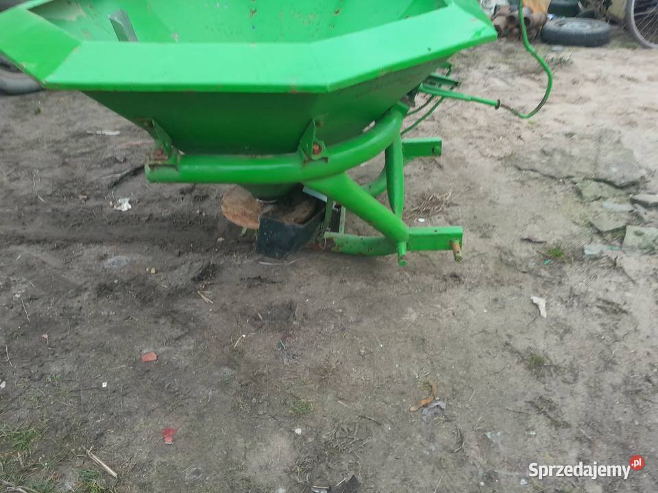 Rozsiewacz amazone Rypin