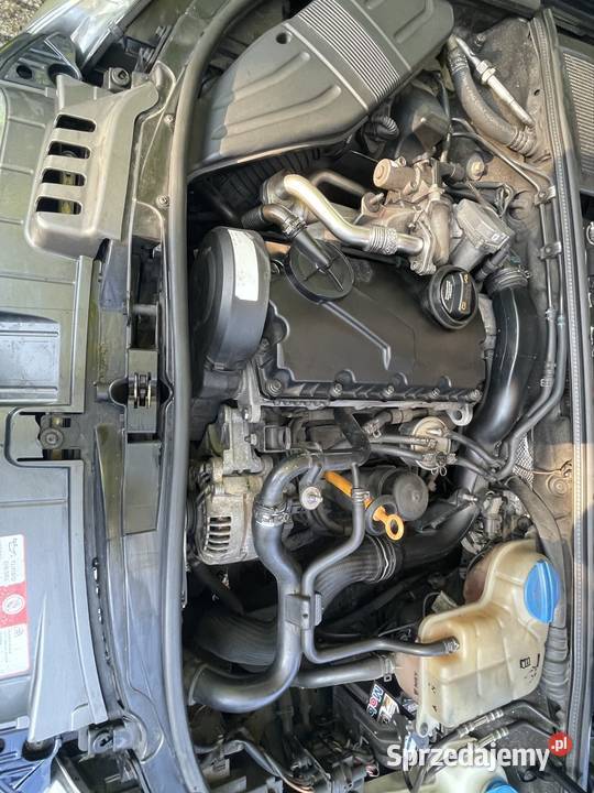 Audi A4 B7 nieuszkodzony Żary sprzedam
