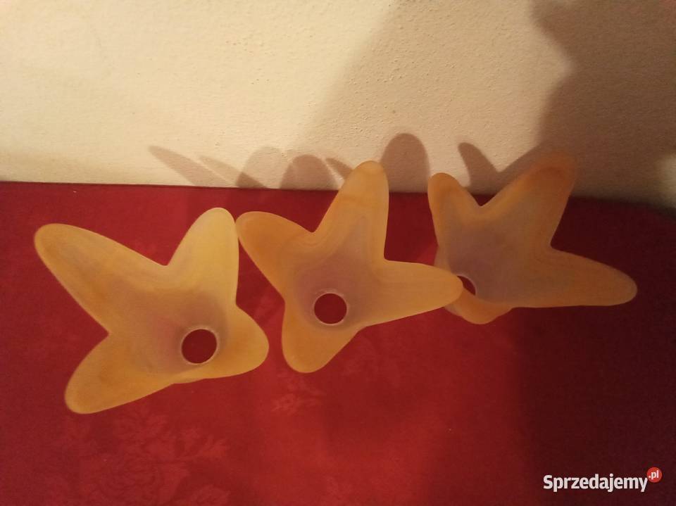 Klosze kwiatowe komplet Abażury i klosze Warszawa