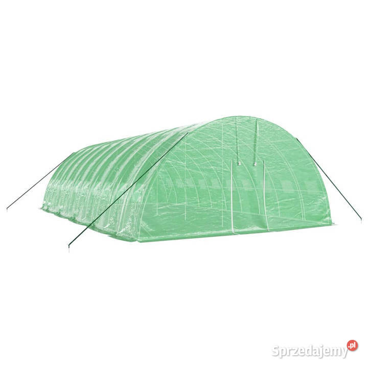 Szklarnia ze stalową ramą zielona 60 m 10x6x285