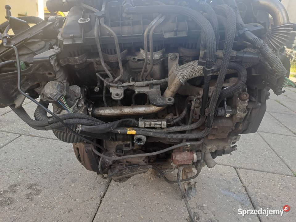 Ford Fokus MK2 16 TDCi 109 silnik kompletny kod Jastrzębie-Zdrój