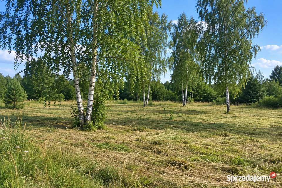 Sprzedam Działki Budowlane śląskie Rudnik Wielki sprzedam