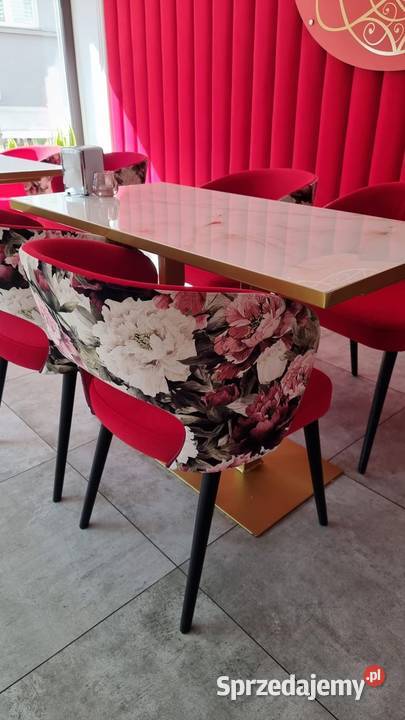 Zestaw krzeseł stolików do kawiarni restauracji dolnośląskie Wrocław