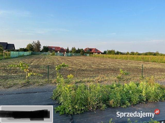 Działka budowlana 3000 m2 MEDIA Żórawina dolnośląskie
