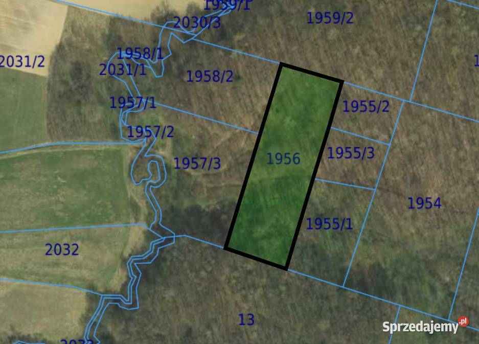 Las 60ar starodrzew opał rekreacja Łużna