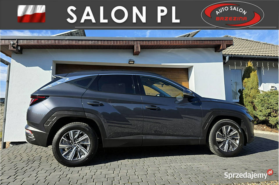 Hyundai Tucson serwis ASO Irej 2023 IV 2020 elektryczne lusterka śląskie Rydułtowy