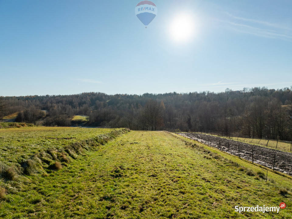 Działka w otoczeniu przyrody Izdebnik