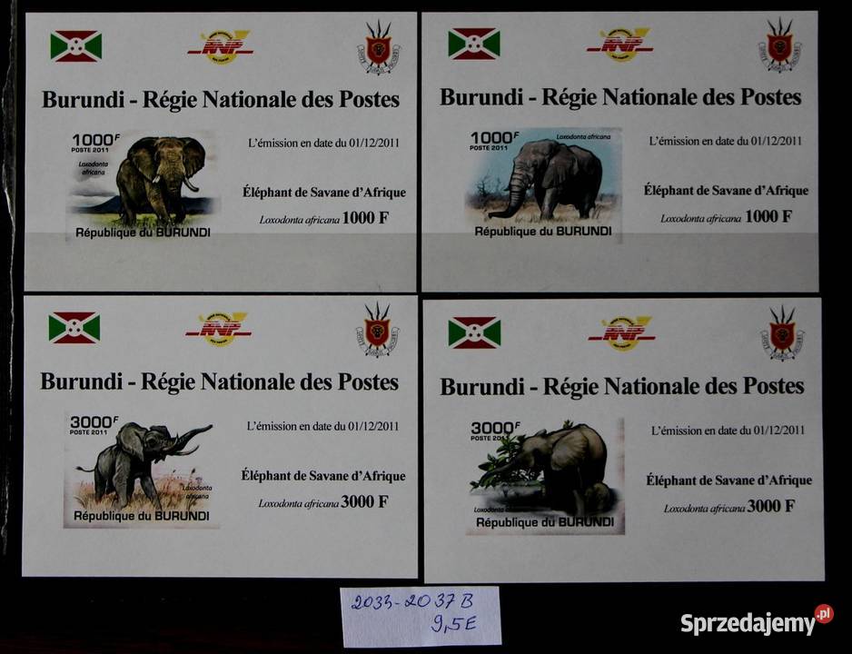 burundi wielkopolskie