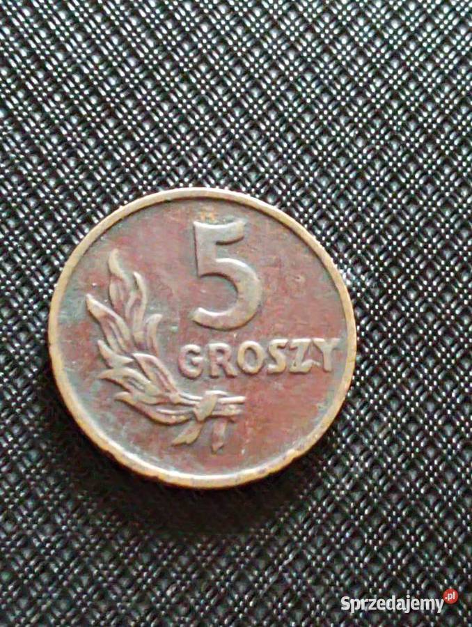 Sprzedam 5 gr 1949 r bzm braz Chełm sprzedam