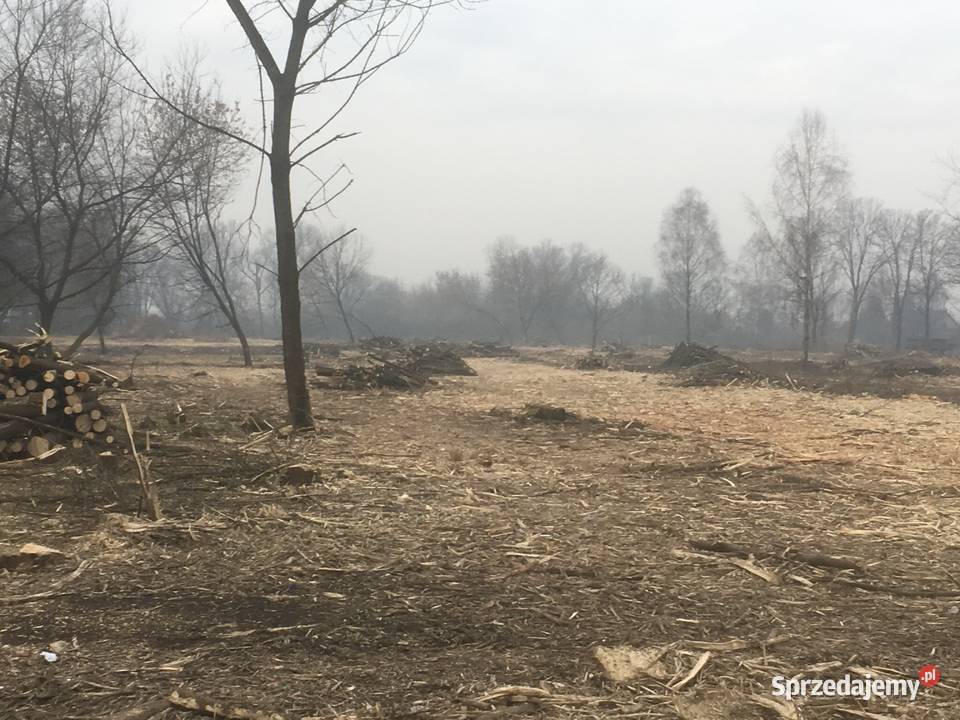 Mulczowanie karczowanie działek mulczer leśny Usługi Bochnia