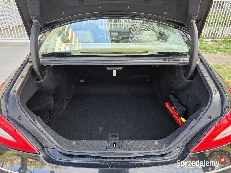 250 CDI 22l diesel 204Przebieg 137768Zadbane diesel sprzedam