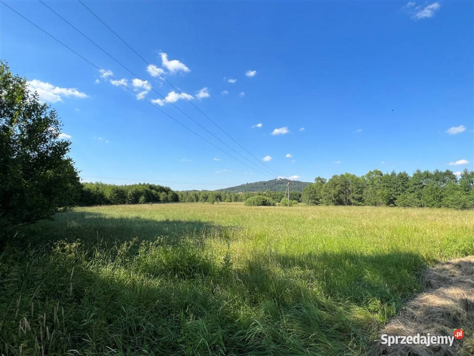 Świetna działki inwestycyjnej w Sosnówce dolnośląskie Sosnówka sprzedam