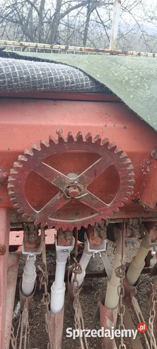 Siewnik poznaniak 25m Skawina