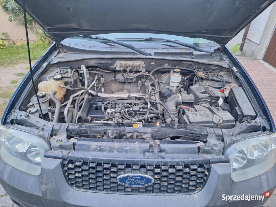 Ford Maverick Hajnówka