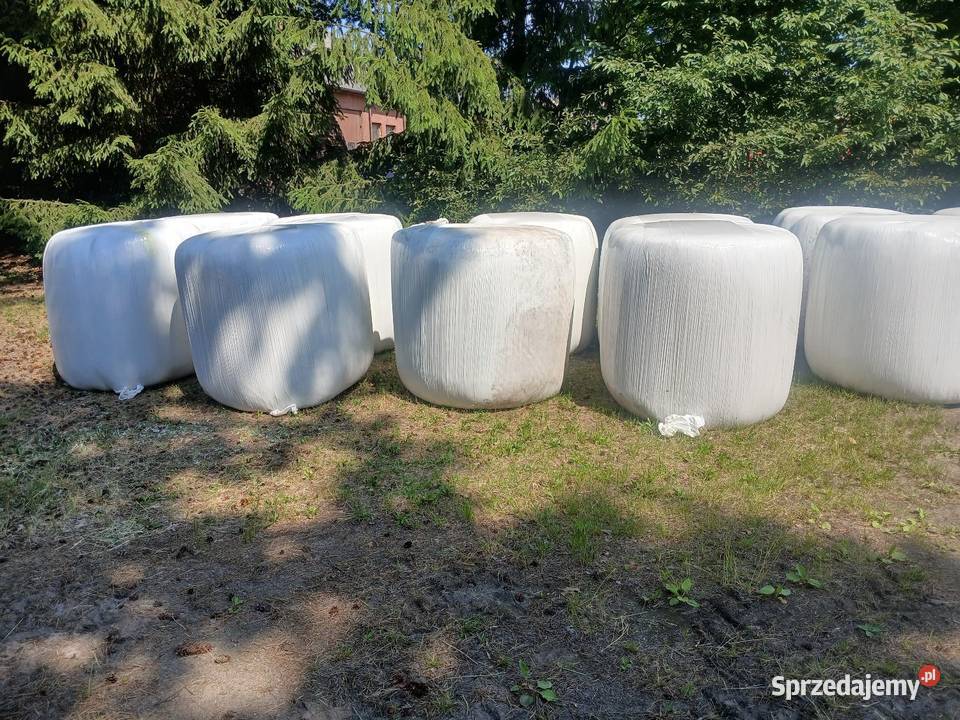 Sianokiszonka świeża czerwiec 2026 Mistów