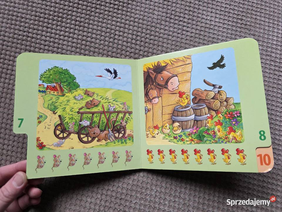 Liczby z Jerzym z ilustracjami Agaty Nowak