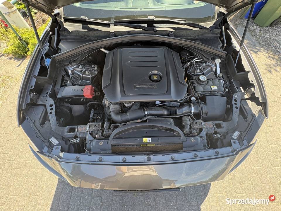 Jaguar FPace Dolna Grupa