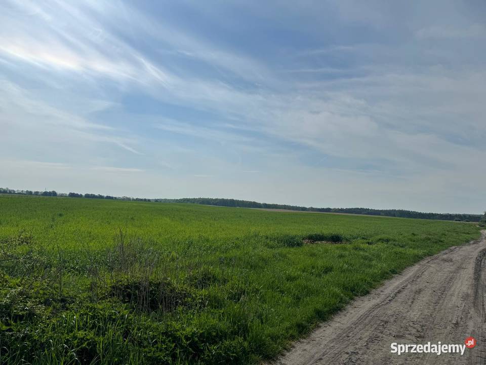 Sprzedam działkę budowlaną Nieruchomości wielkopolskie
