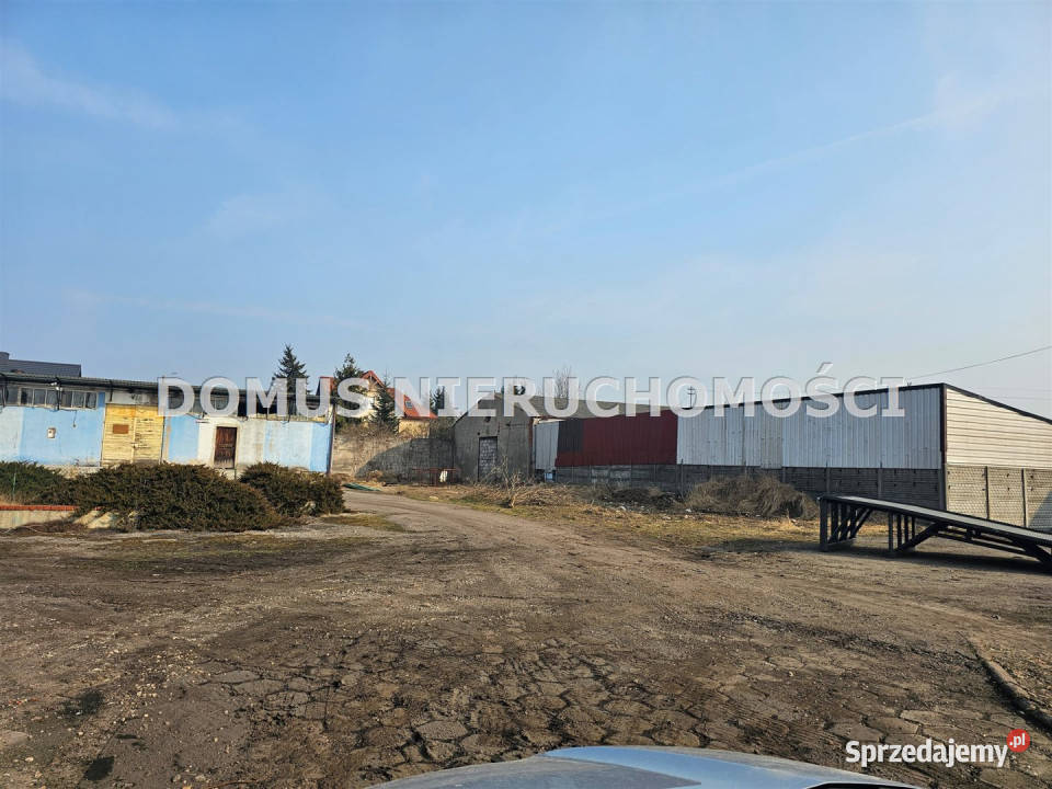 Do wynajęcia lokal Brzeziny 250m2 Lokale użytkowe