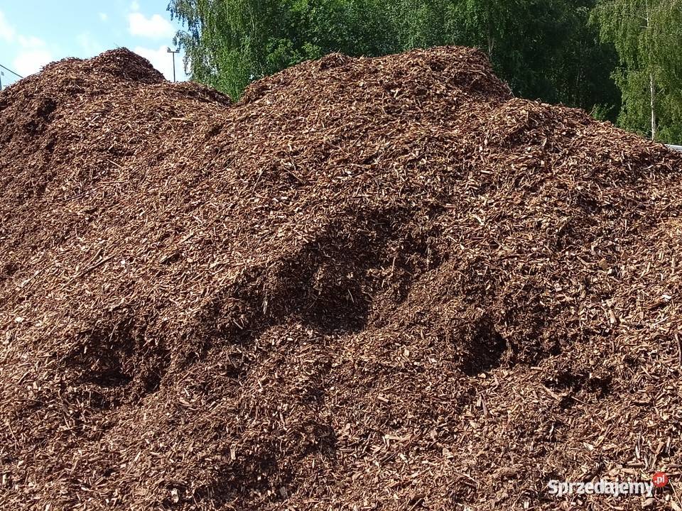 Zrębki Zrębka Leśna na podsypkę kompostowa pomorskie Chmielno